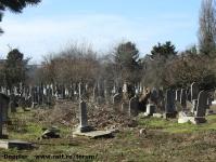Imagine atasata: Cimitirul Evreiesc - 2018.03.12 - 02.jpg